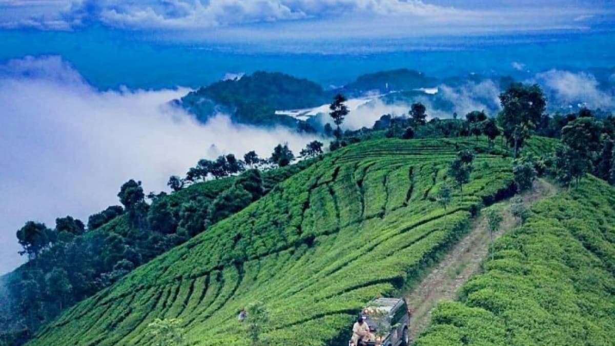 Keindahan Alam